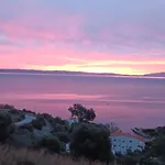 Skalidis 1, * Golos