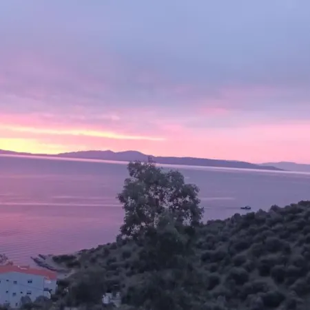 Skalidis Βόλος