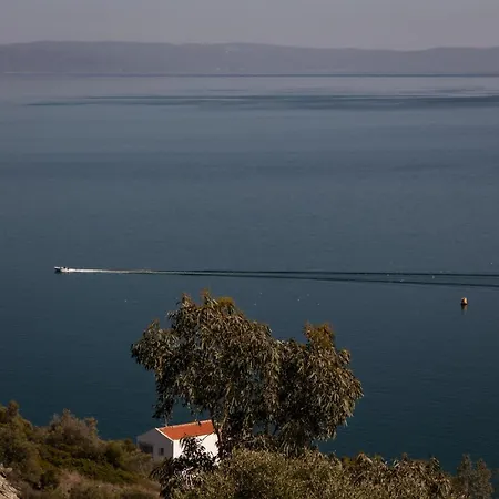 Skalidis * Wolos